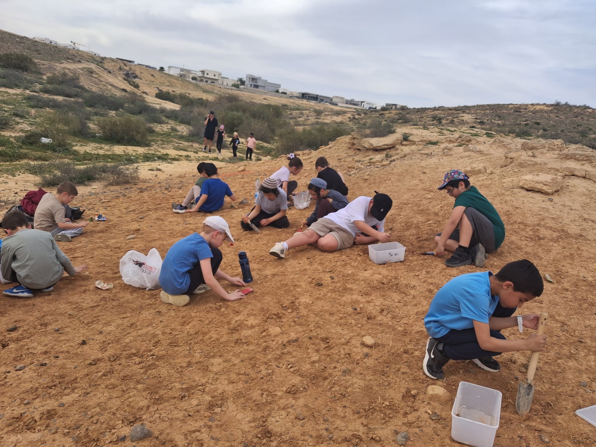 חניכי חוג הסיירות בחפירה ארכיאולוגית בנגב - מל"ש דימונה